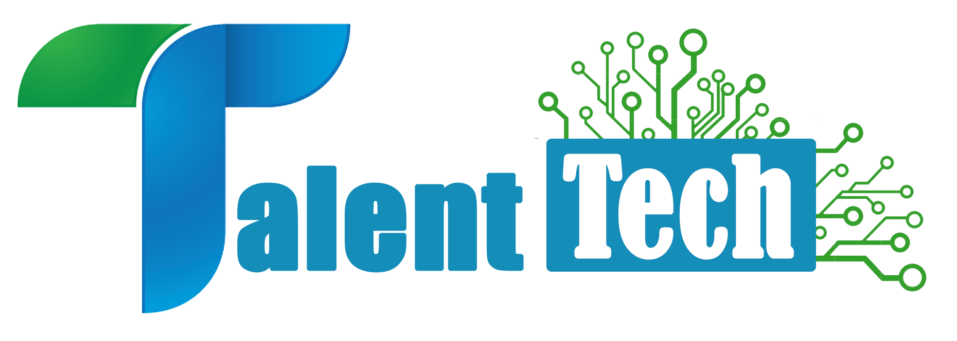 Talent Tech | Custom BI, CRM & Business Automation Experts